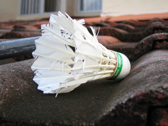 Shuttlecock on tiled roof